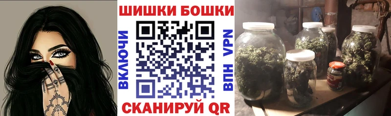 купить наркотики цена  Куртамыш  дарк нет клад  Бошки Шишки ГИДРОПОН 